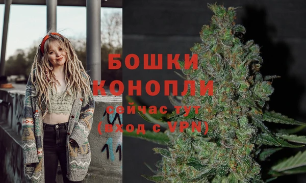 Альфа ПВП Рославль