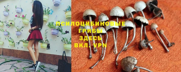 Альфа ПВП Рославль