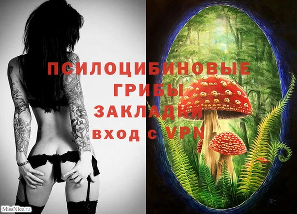 твердый Россошь